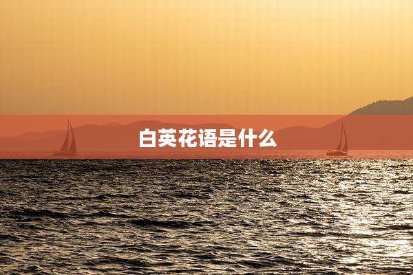 白英花语是什么