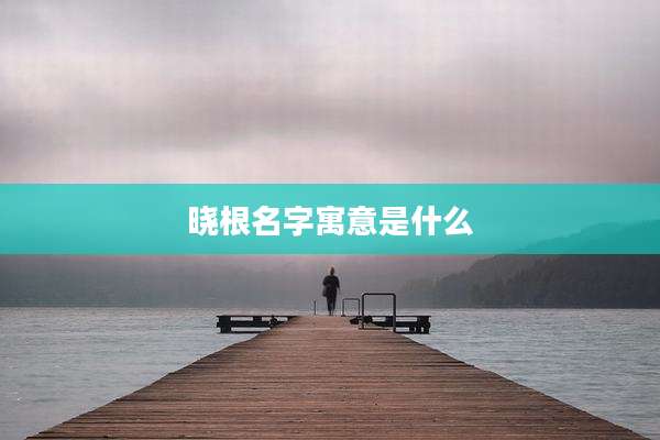 晓根名字寓意是什么