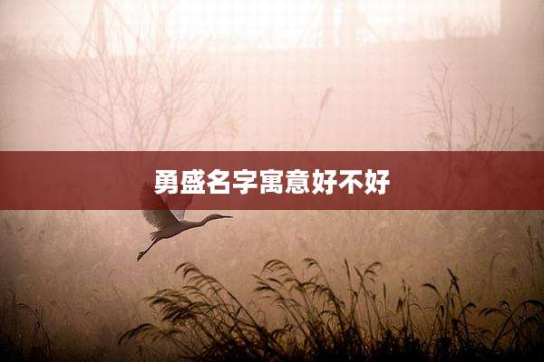 勇盛名字寓意好不好