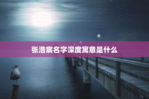 张浩宸名字深度寓意是什么