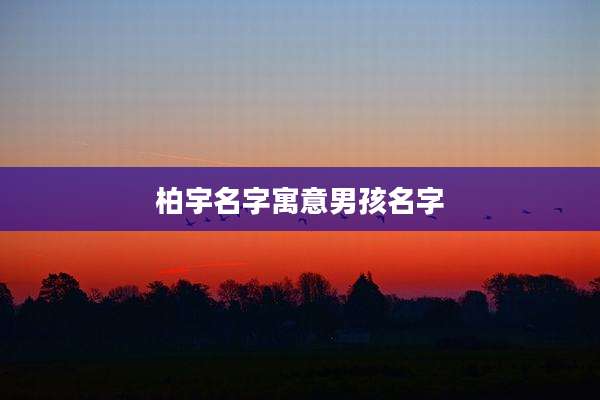 柏宇名字寓意男孩名字
