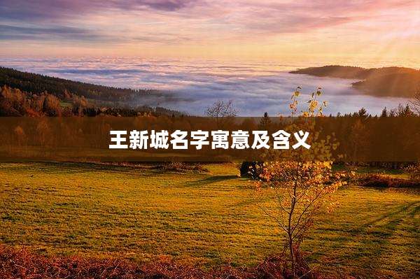 王新城名字寓意及含义