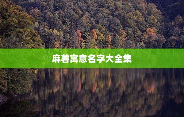 麻薯寓意名字大全集