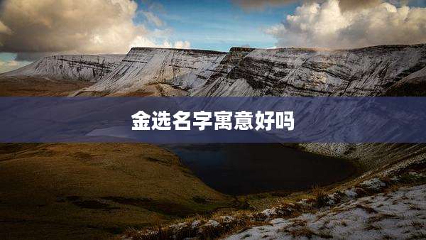 金选名字寓意好吗