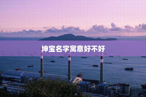 坤宝名字寓意好不好