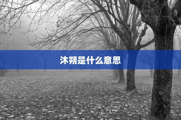 沐朔是什么意思