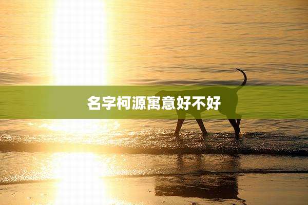 名字柯源寓意好不好