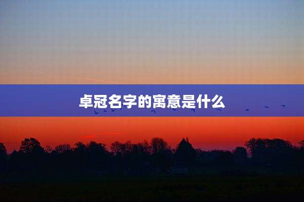 卓冠名字的寓意是什么