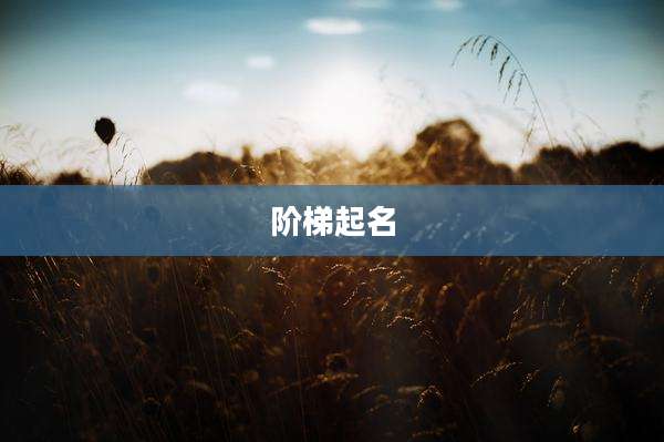 阶梯起名
